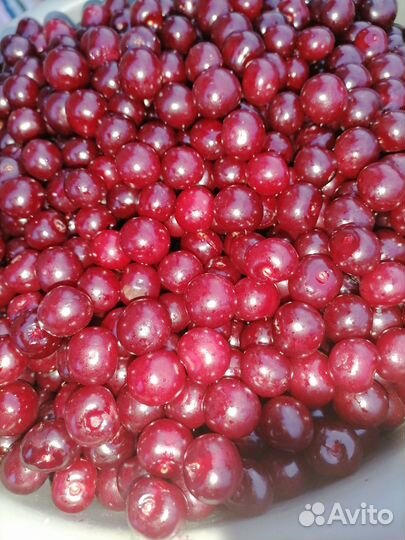 Картофель, морковь свёкла