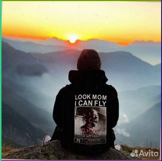 Худи Travis Scott Cactus Jack (83583 Art товара: )