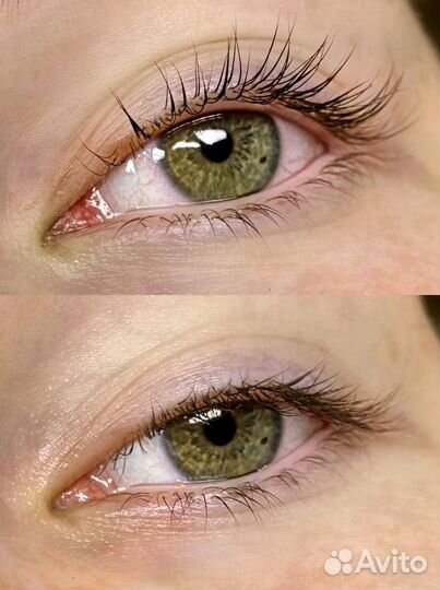 Мастер бровист