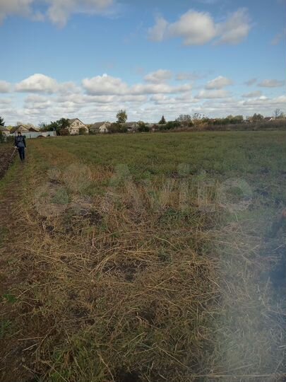 Участок 26 сот. (СНТ, ДНП)