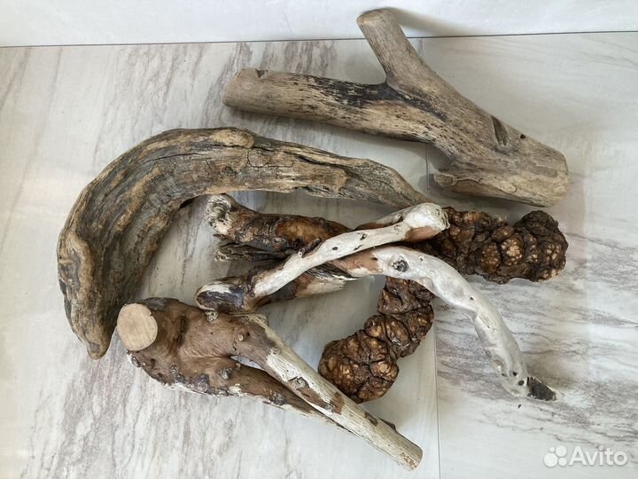 Коряги морские дрифтвуд поштучно