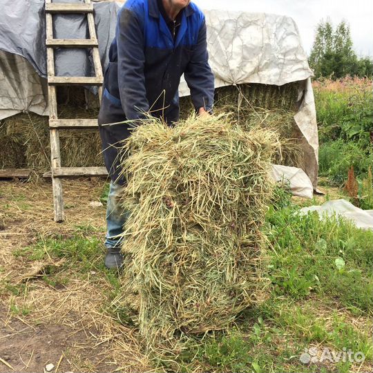 Сено в кипах