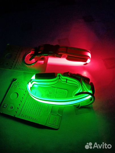 LED-ошейники для маленьких пород собак