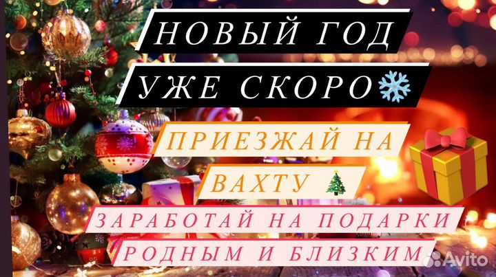 Разнорабочие вахтой на Птицефабрике к Новому году