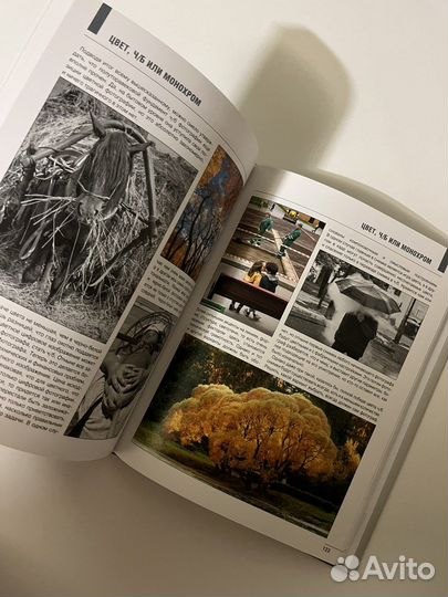 Фотография школа мастерства