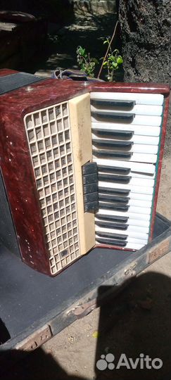 Аккордеон заря 2