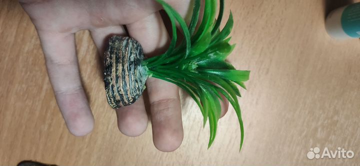 Круглый Аквариум 2 литра