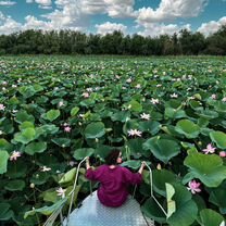 Тур на Лотосовые поля на катере из Астрахани