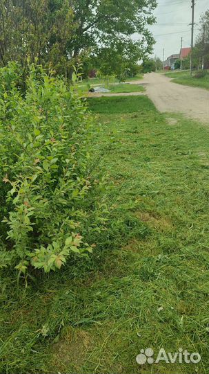 Покос травы