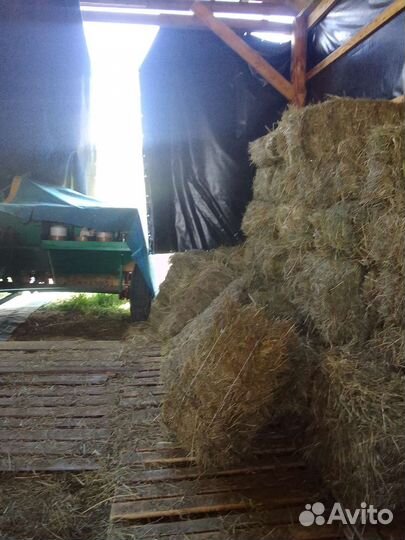 Сено
