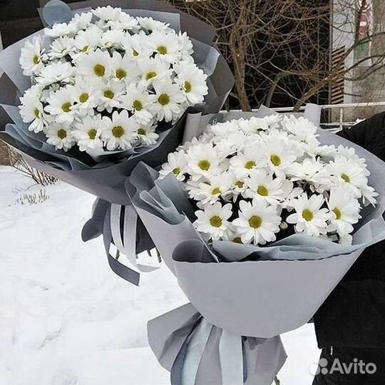Доставка букетов и цветов. Хризантема