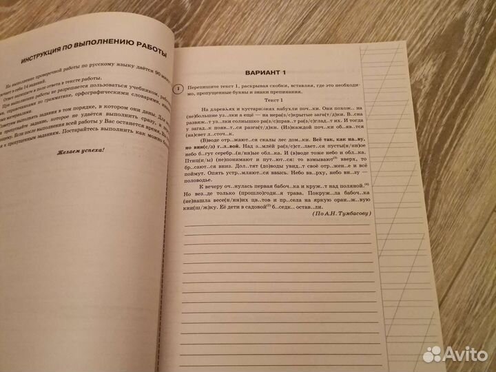 Впр 6 класс русский язык