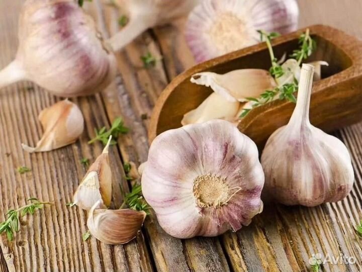 Чеснок
