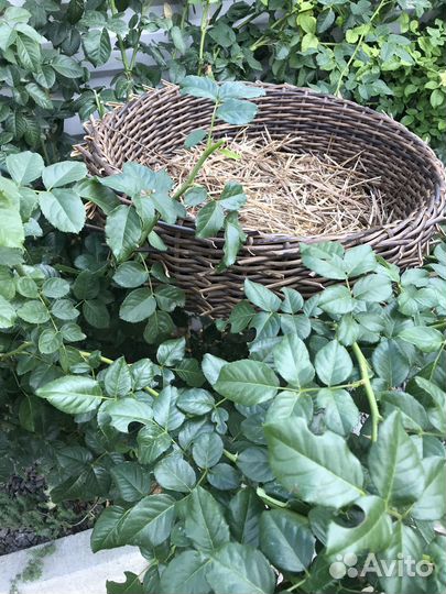 Гнездо аиста/декор сада и дачи