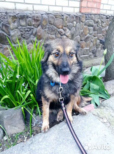 Злата хочет домой