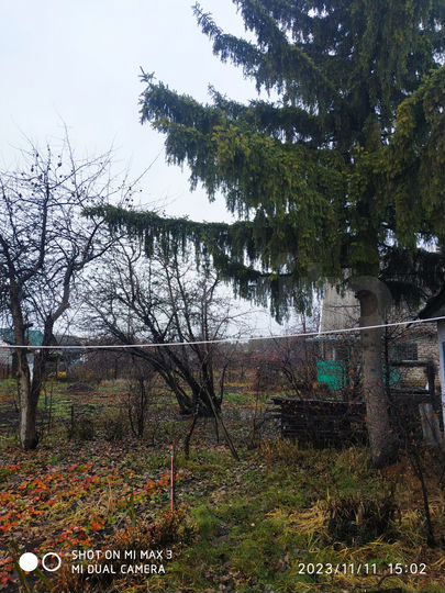 Дача 20 м² на участке 4,2 сот.