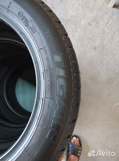 Tigar Winter 1 205/55 R16