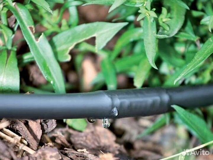 Система автополива