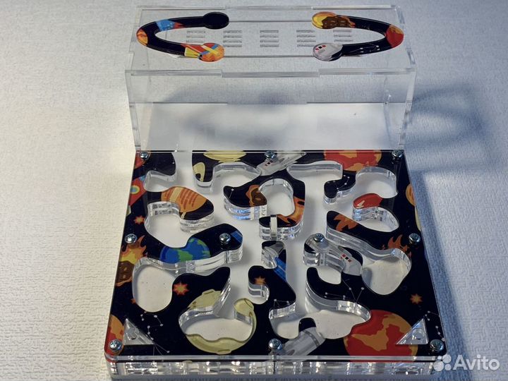 Муравьиная ферма (формикарий) 