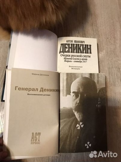 Деникин