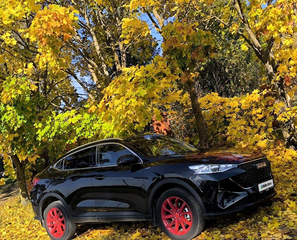 HAVAL F7x: фото владельца