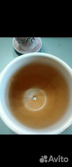 Набор керамических кашпо