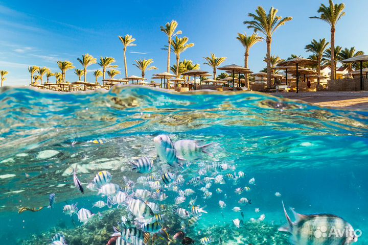 Тур путевка в Египет на 6 ночей