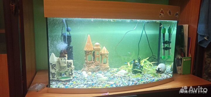 Аквариум