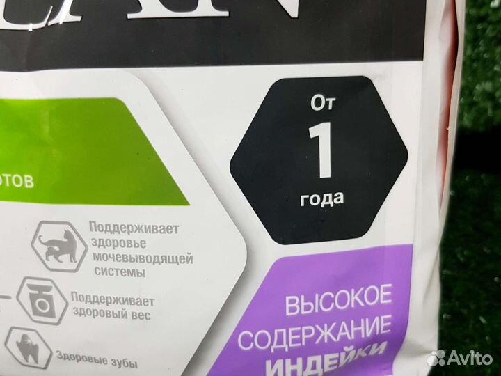 Корм для кошек