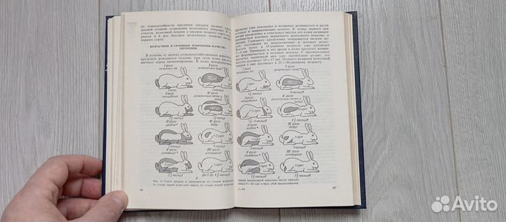Кролиководство.1985 (в.сысоев,в.александров)