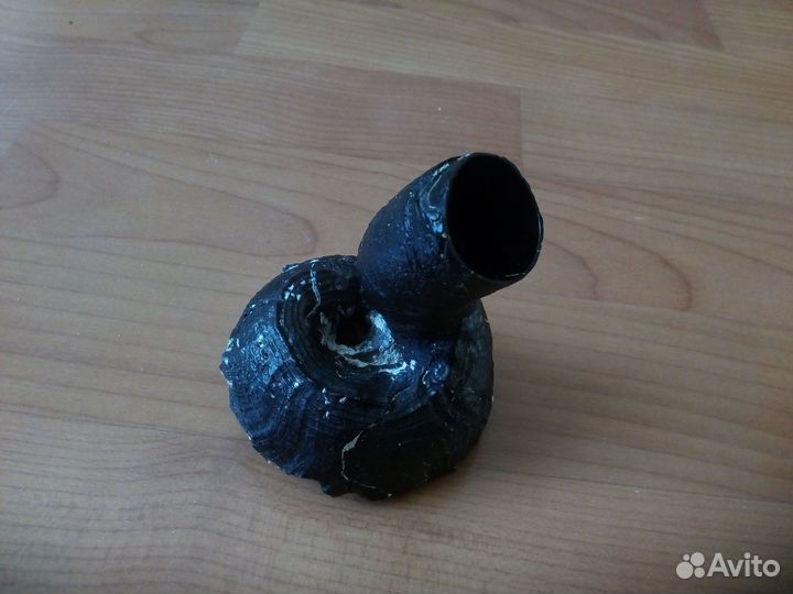 Ракушка Serpulorbis colubrinus 94 мм Редкая