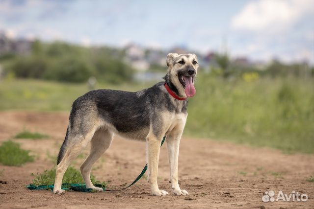 Хлоя: девочка, которая мечтает