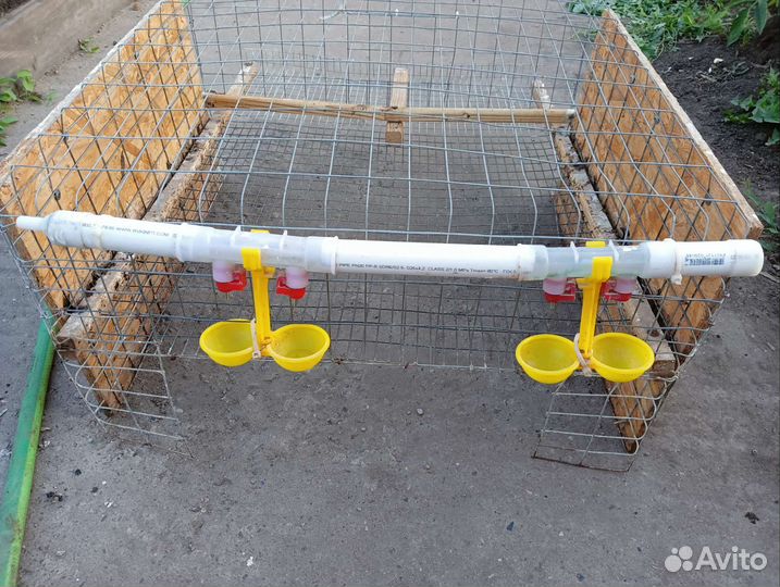 Клетки для перепелов бу