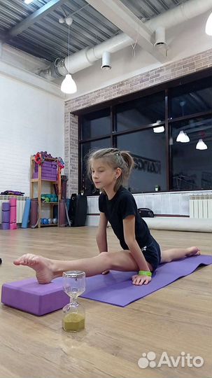 Гимнастическая школа