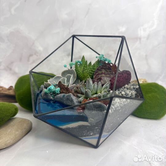 Флорариум с живыми растениями и озером