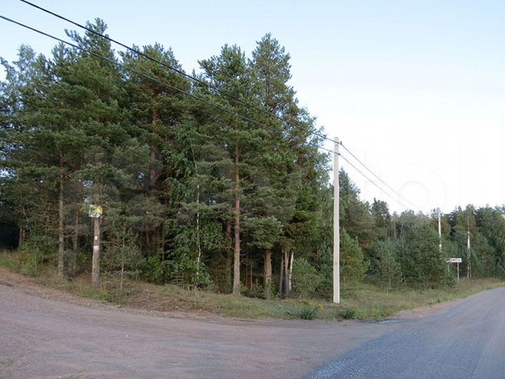 Участок 24,5 сот. (ИЖС)