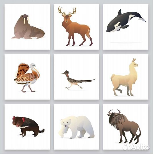 Художник иллюстратор