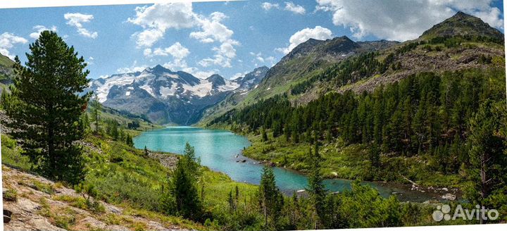 Тур путевка Алтай летний экспедиции от 6 дн