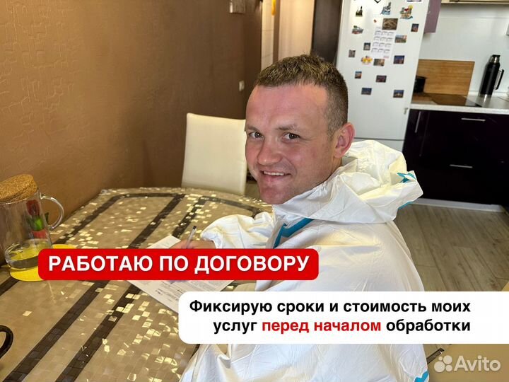 Уничтожение тараканов, уничтожение клопов