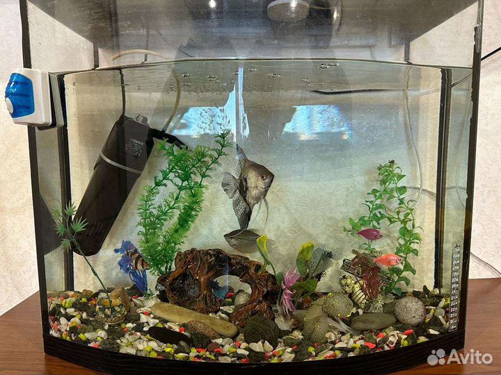 Аквариум с рыбками бу