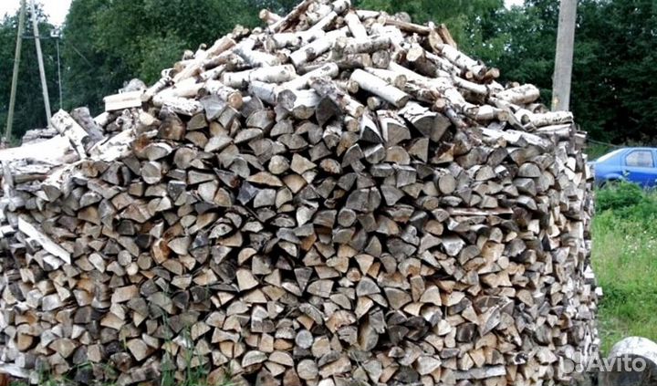Дрова без грибка
