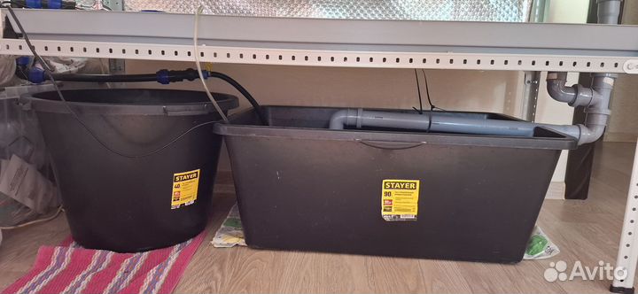 Ферма для выращивания микрозелени