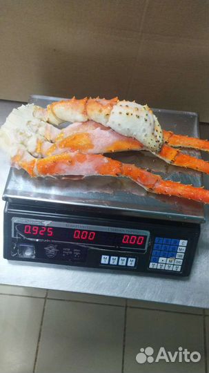 Клешни камчатского краба