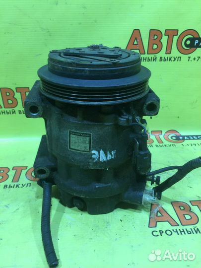 Компрессор кондиционера Nissan Elgrand E51 VQ35