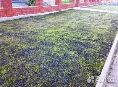 Рулонный газон