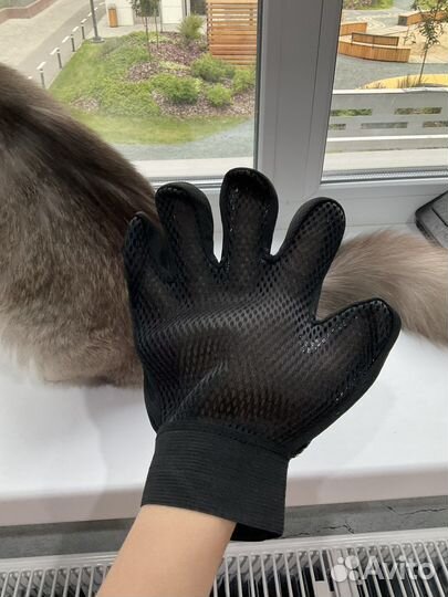 Перчатка для кошки