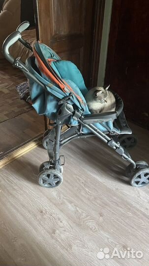 Коляска трость inglesina zippy