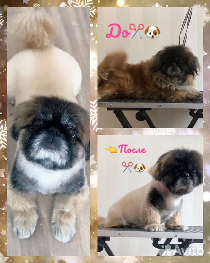 Грумер,груминг,стрижка кошек,собак и кроликов