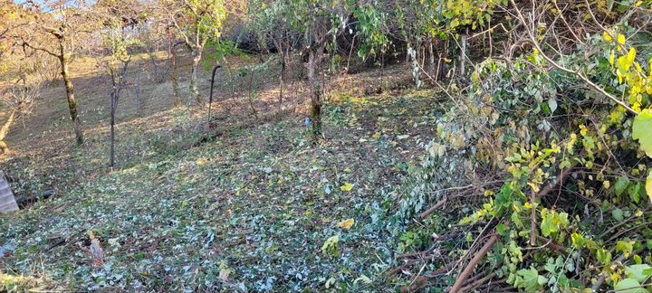 Участок 7 сот. (СНТ, ДНП)