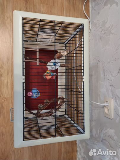Клетка для попугая